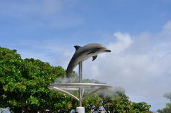 D03_6308.JPG