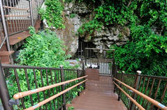 D03_7744.JPG