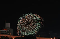 D03_7946.JPG
