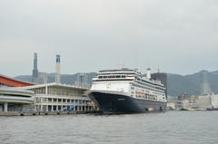 D03_8618.JPG