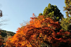 D03_9383.JPG