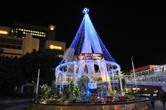 20121208_019.JPG