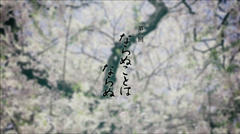 yae1__02.JPG