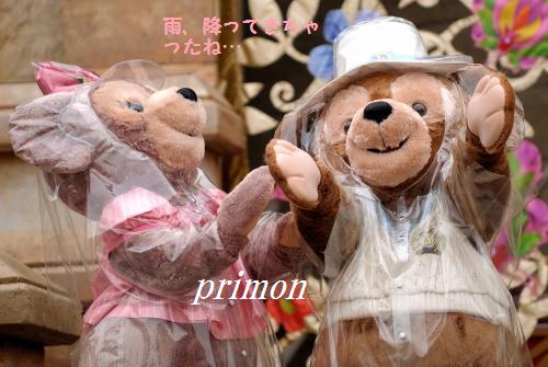 TDS 雨・・・ダッフィー＆シェリーメイ｜ミッキーに逢いたい～primonの