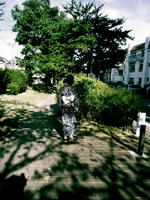 IMGP0293.JPG