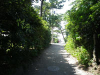 IMGP0325.jpg