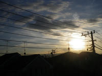 IMGP0606.jpg