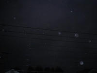 IMGP0629.jpg
