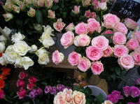 IMGP0875.jpg