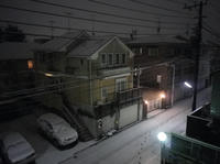 IMGP0915.jpg