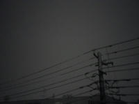 IMGP0917.jpg