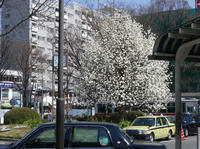 IMGP1120.jpg
