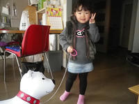 IMGP1129.jpg
