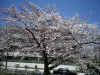 IMGP1144.jpg