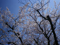 IMGP1147.jpg