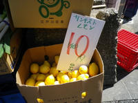 IMGP1149.jpg