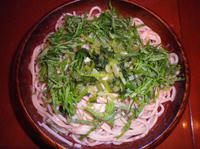 IMGP1155.jpg