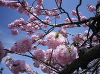 IMGP1160.jpg