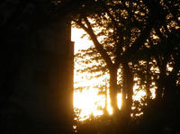 IMGP1188.jpg