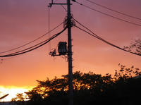 IMGP1190.jpg