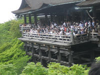 IMGP1212.jpg