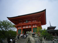 IMGP1206.jpg