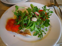IMGP1236.jpg
