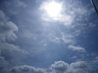 IMGP1252.jpg