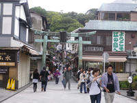 IMGP1254.jpg