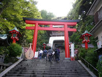 IMGP1255.jpg