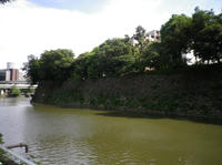 IMGP1343.jpg