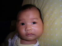 IMGP1346.jpg