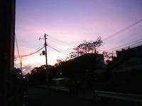 IMGP1453.JPG