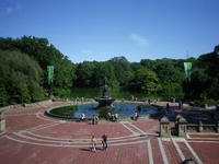 IMGP1524.JPG