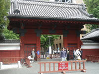 IMGP2079.JPG