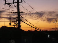 IMGP2110.JPG