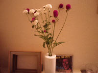 IMGP2118.JPG