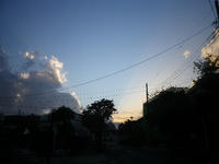 IMGP2203.JPG
