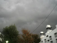 IMGP2206.JPG