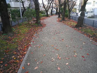 IMGP2218.JPG