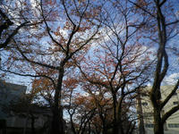 IMGP2219.JPG