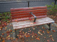 IMGP2220.JPG