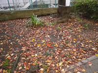 IMGP2216.JPG