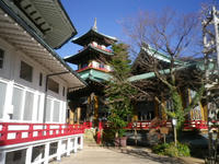 IMGP2379.JPG