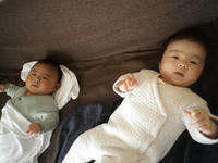 IMGP2565.JPG