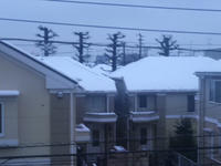 IMGP2580.JPG