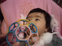 IMGP2586.JPG