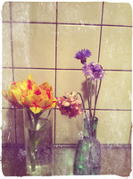 pixlr.png