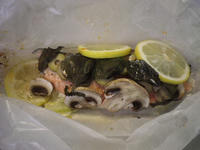 IMGP0260.JPG