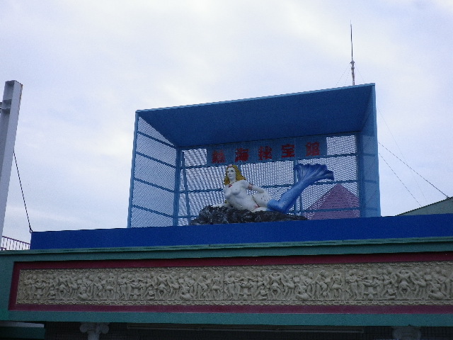 IMGP0082.JPG